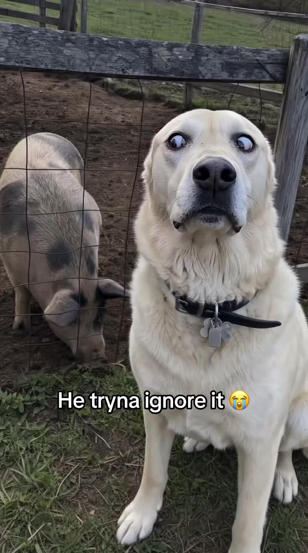 @Tim