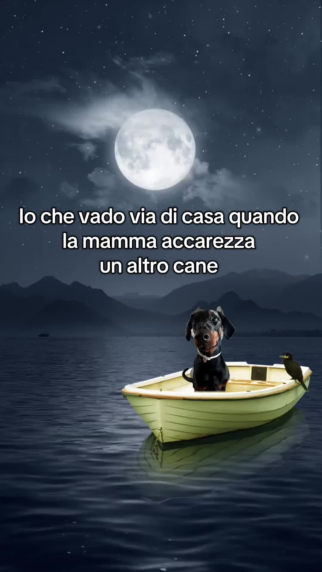 @simo.karla
