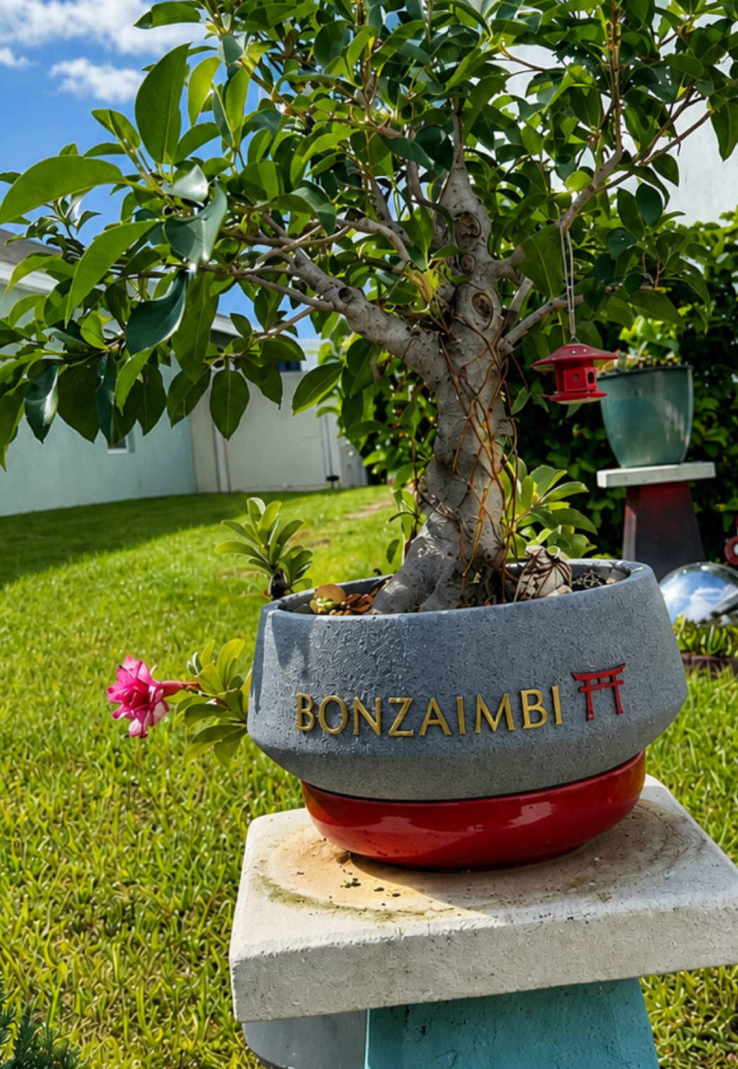 @BONZ&Aacute;IMBI&trade;️⛩️