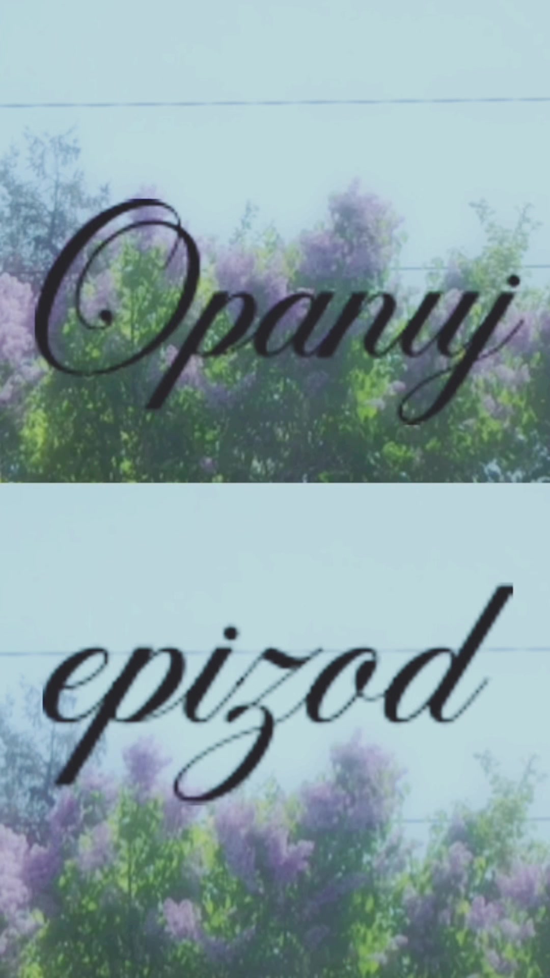 @≽^• ˕ • ྀི≼