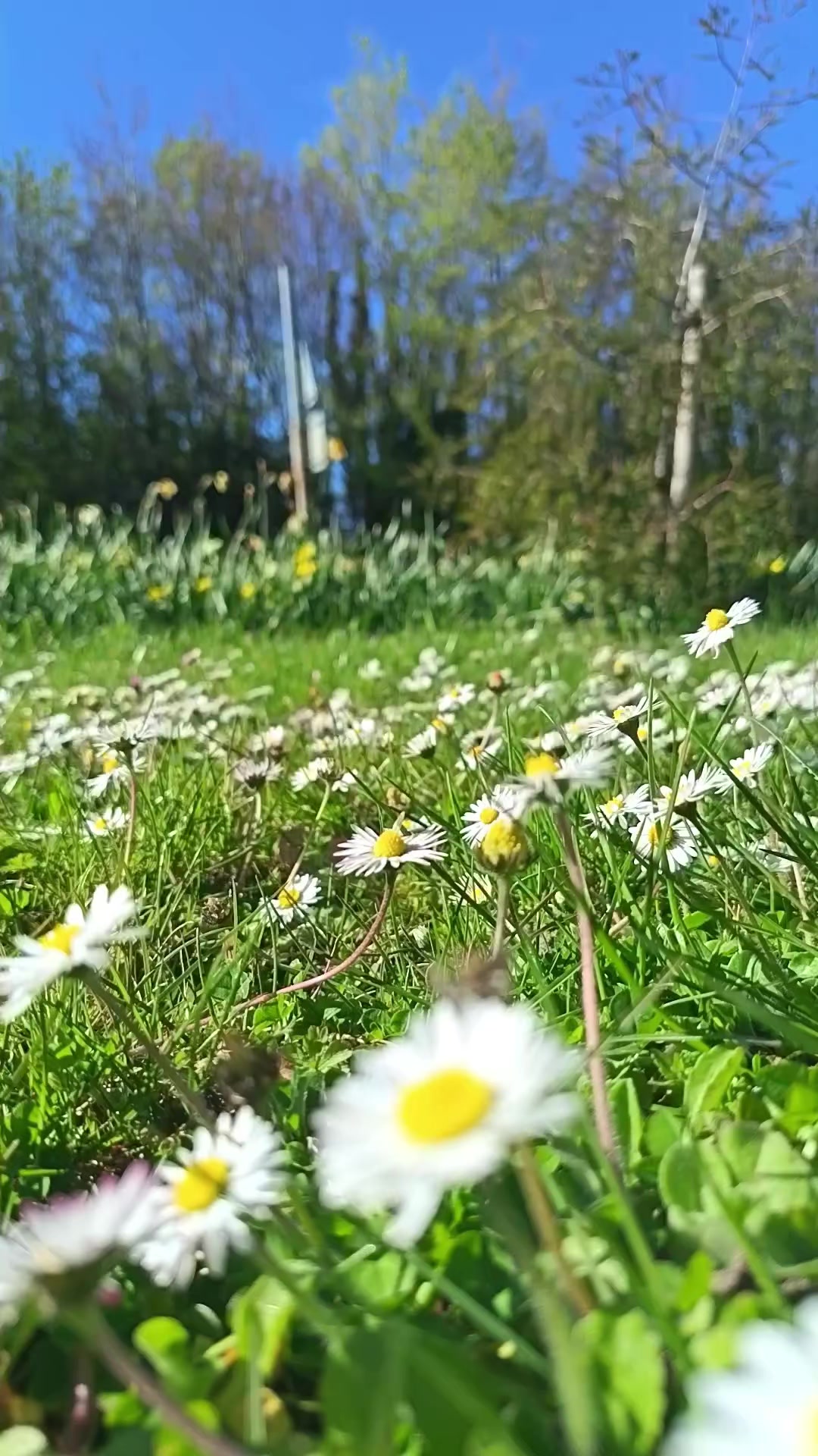@kopila🇬🇧