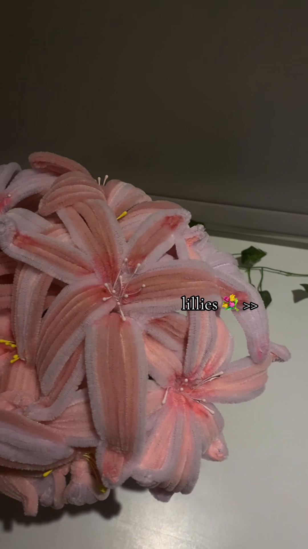 @๐๐๐๐๐๐๐๐ โฐ