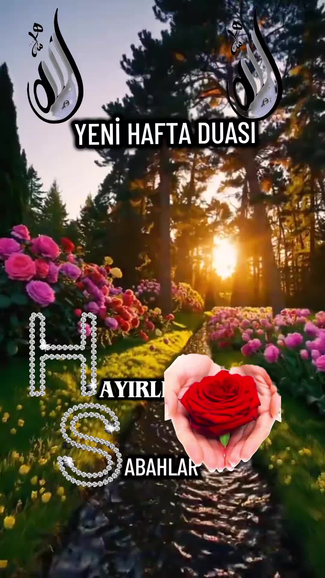@🌿🌹🌸Merry🌹🌸🌿