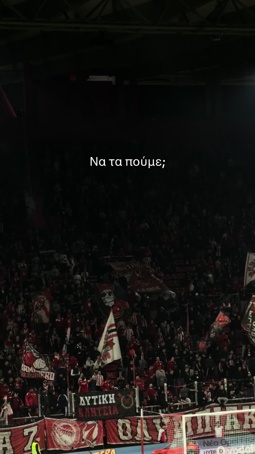 @AlexInRed🥊