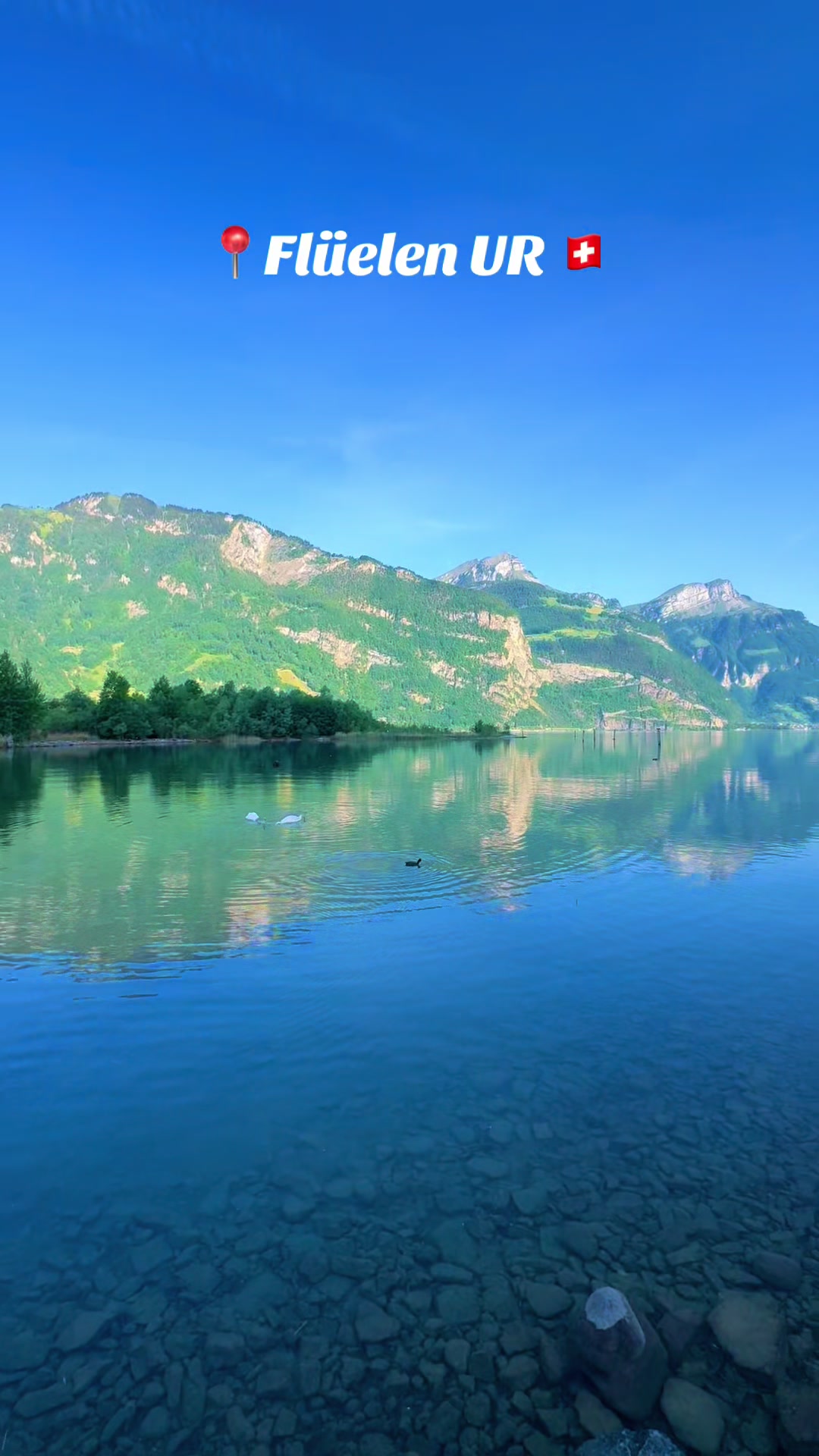 @swiss_alps