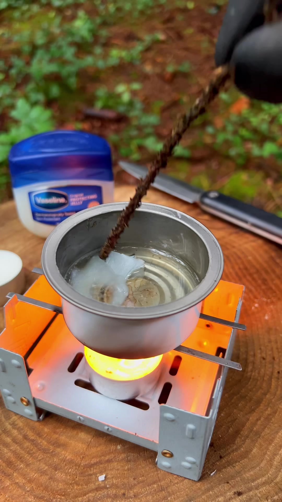 @LastBush Survival TikTok