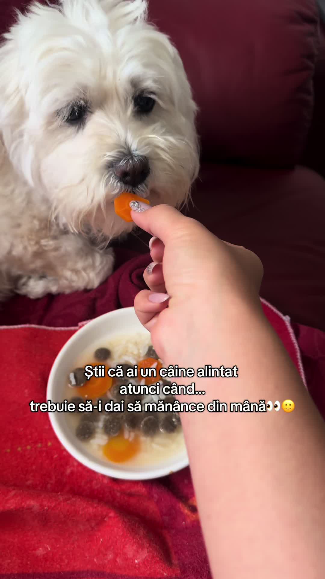 @Dr. Nicola Ioana