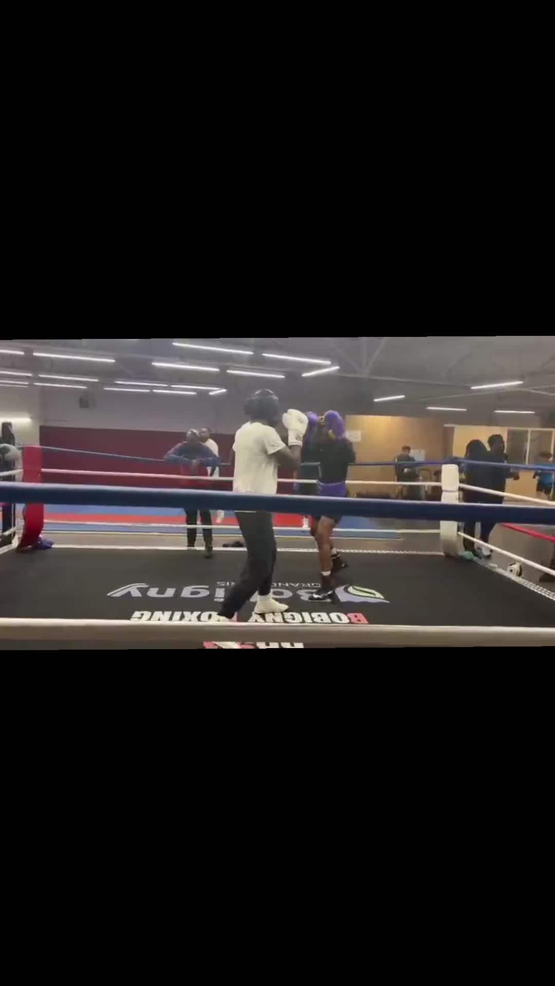 @🇲🇶