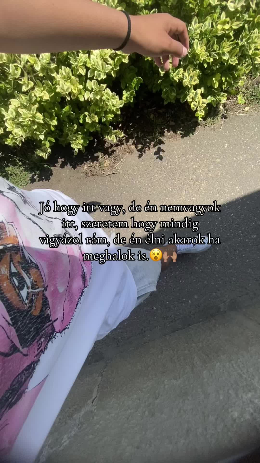 @Hrvth👤