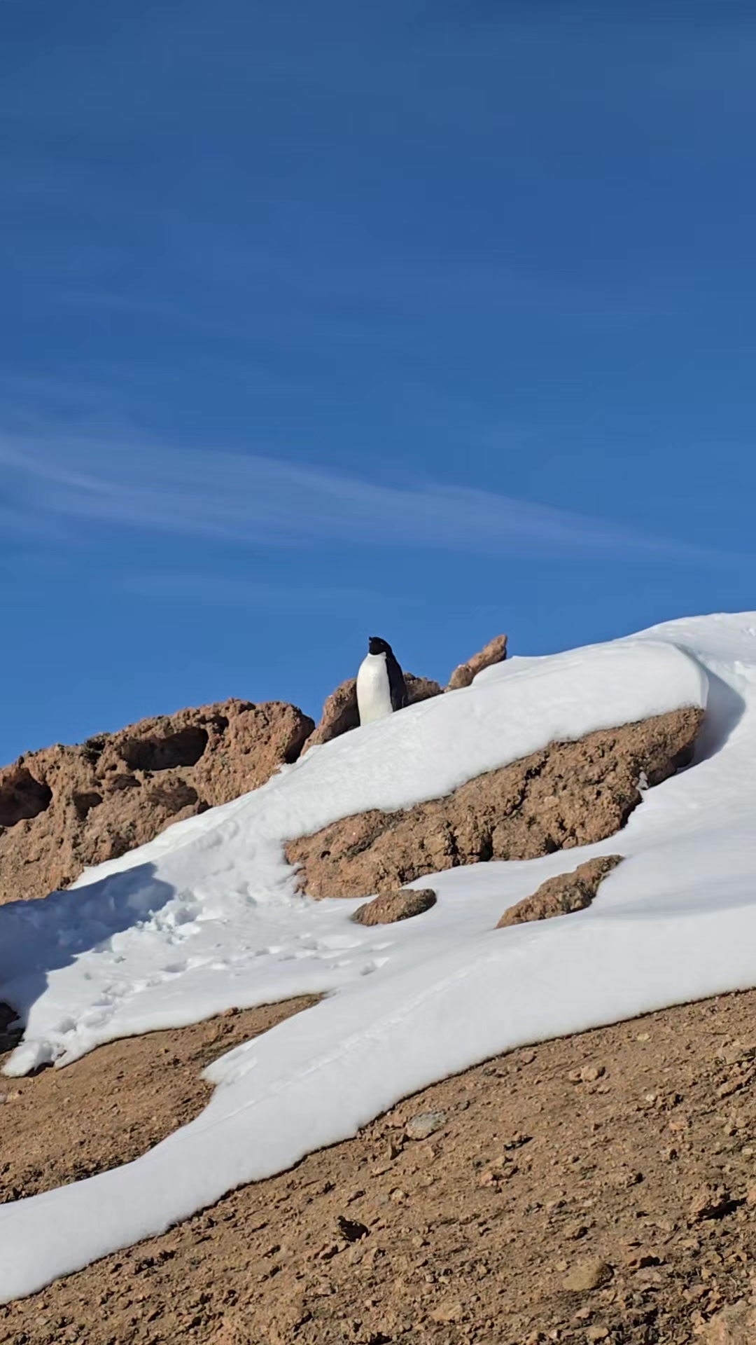 @екатерина
