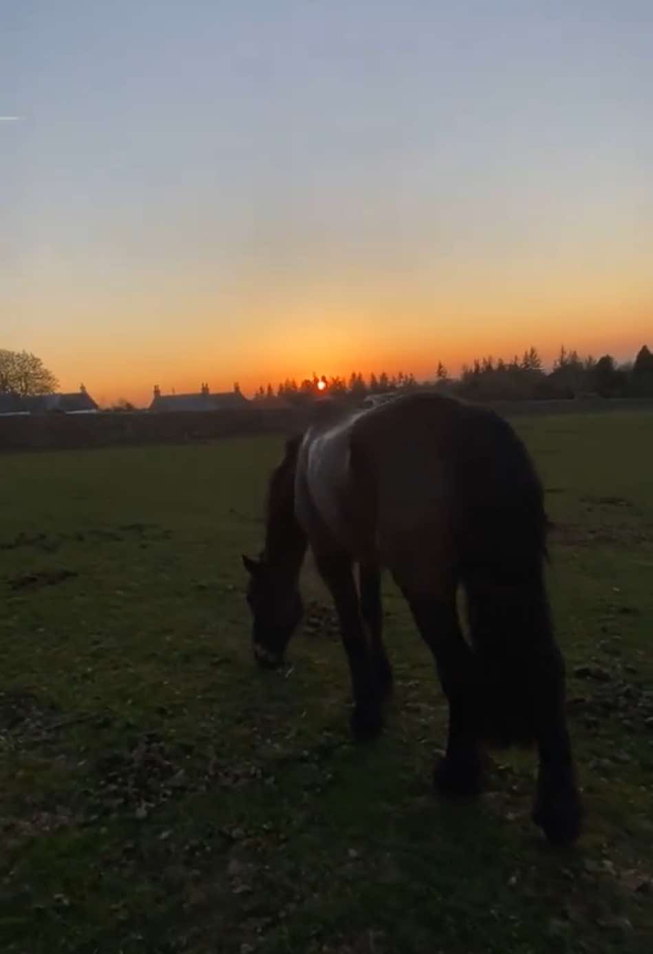 @maja.mnk