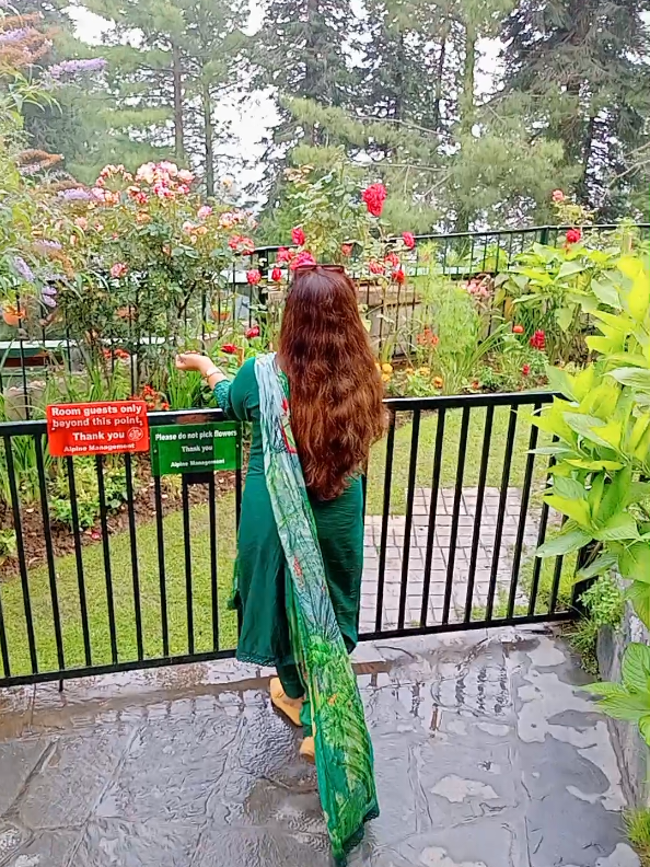 @Farah Rizwan