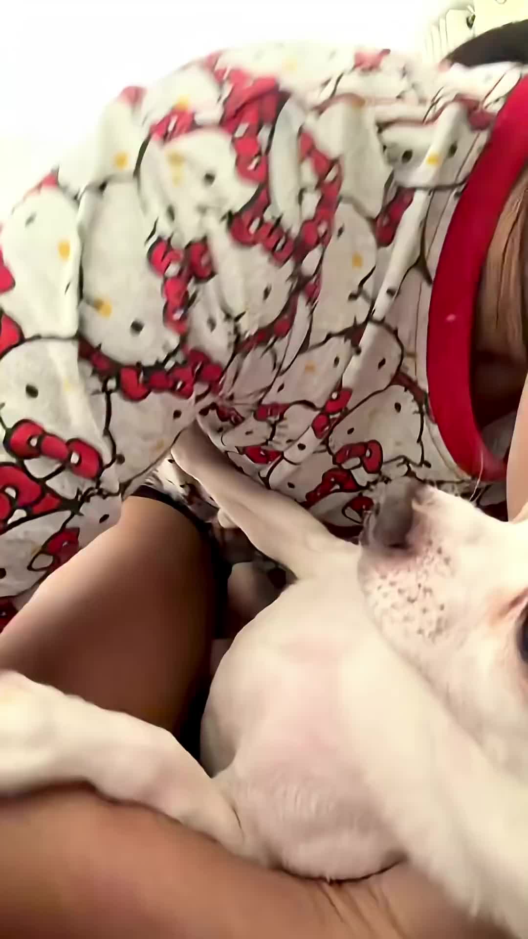 @dog lovers