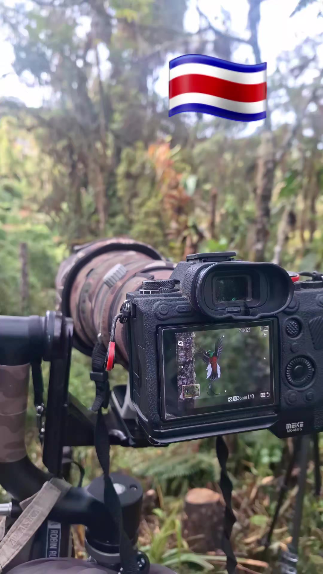 @Quetzal Tours CR🇨🇷