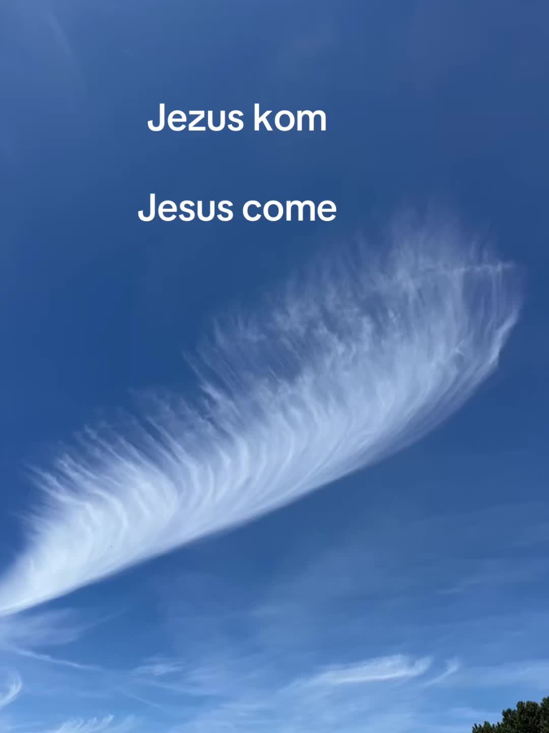 @op_reis_met_jezus