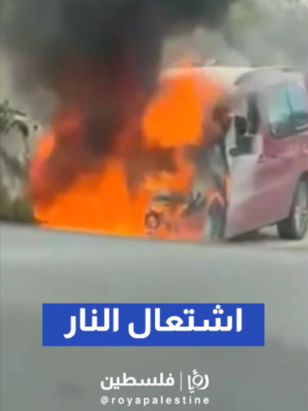 @Royapalestine رؤيا فلسطين