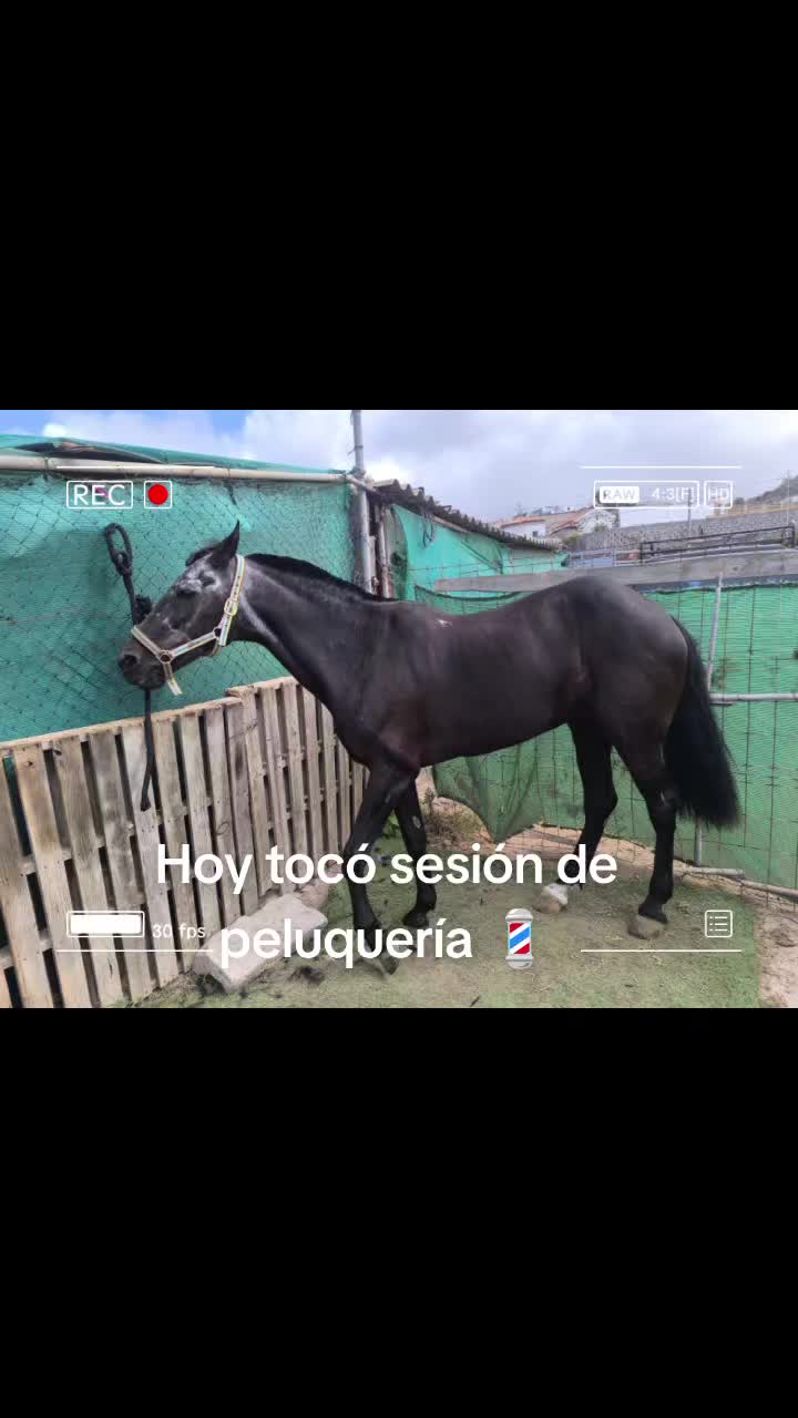 @sanguinosport21