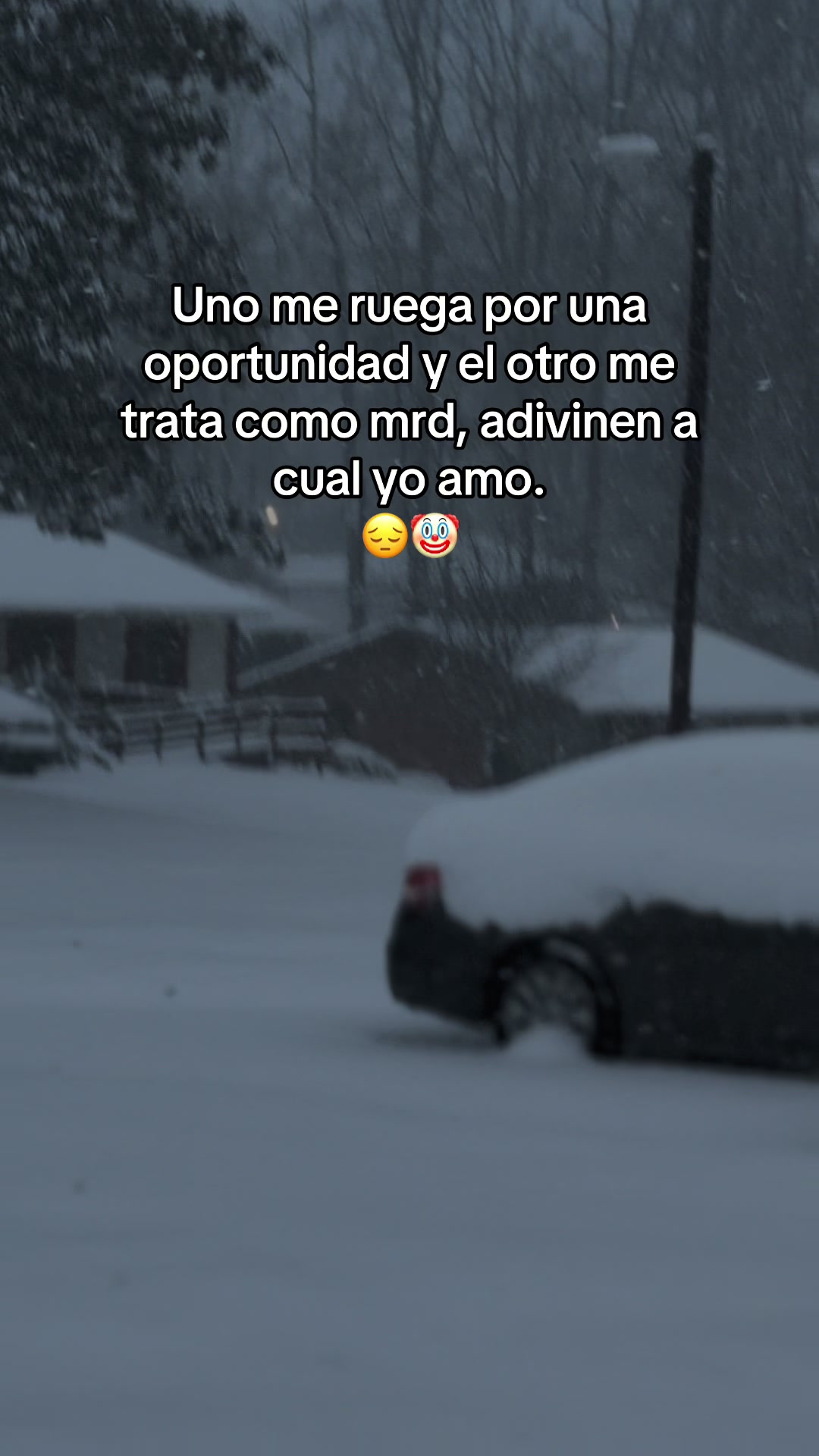 @Wendy -frases 21