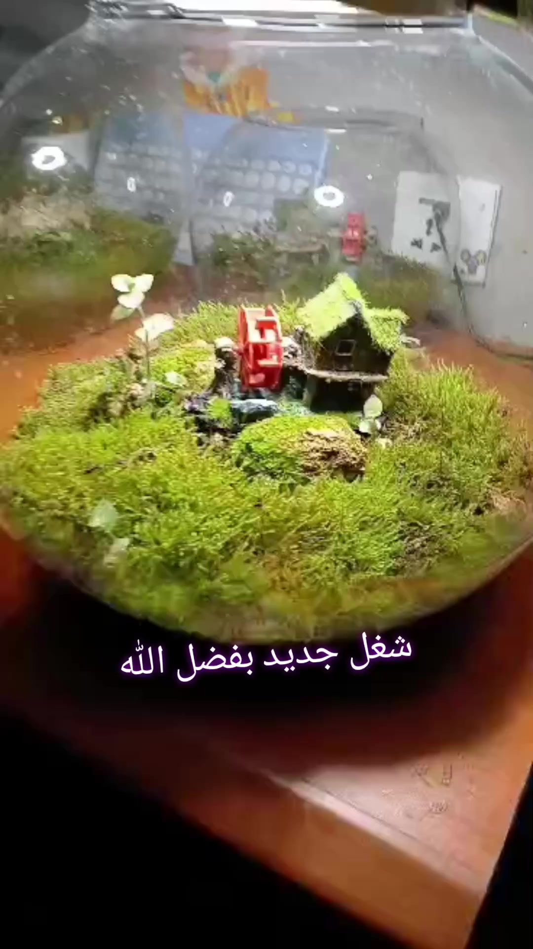 @ANlMAL HOUSE متجر
