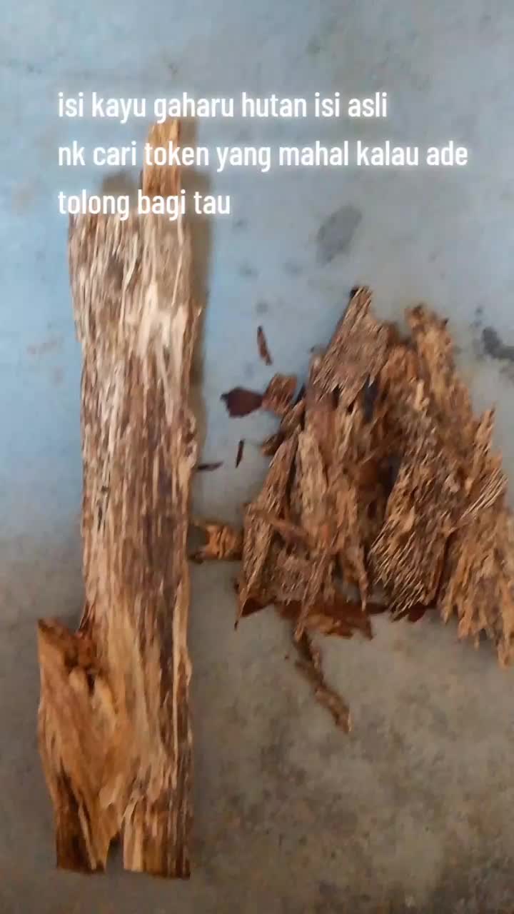 @zeroairin
