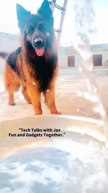 @Johntywithjax👕❤️🤝