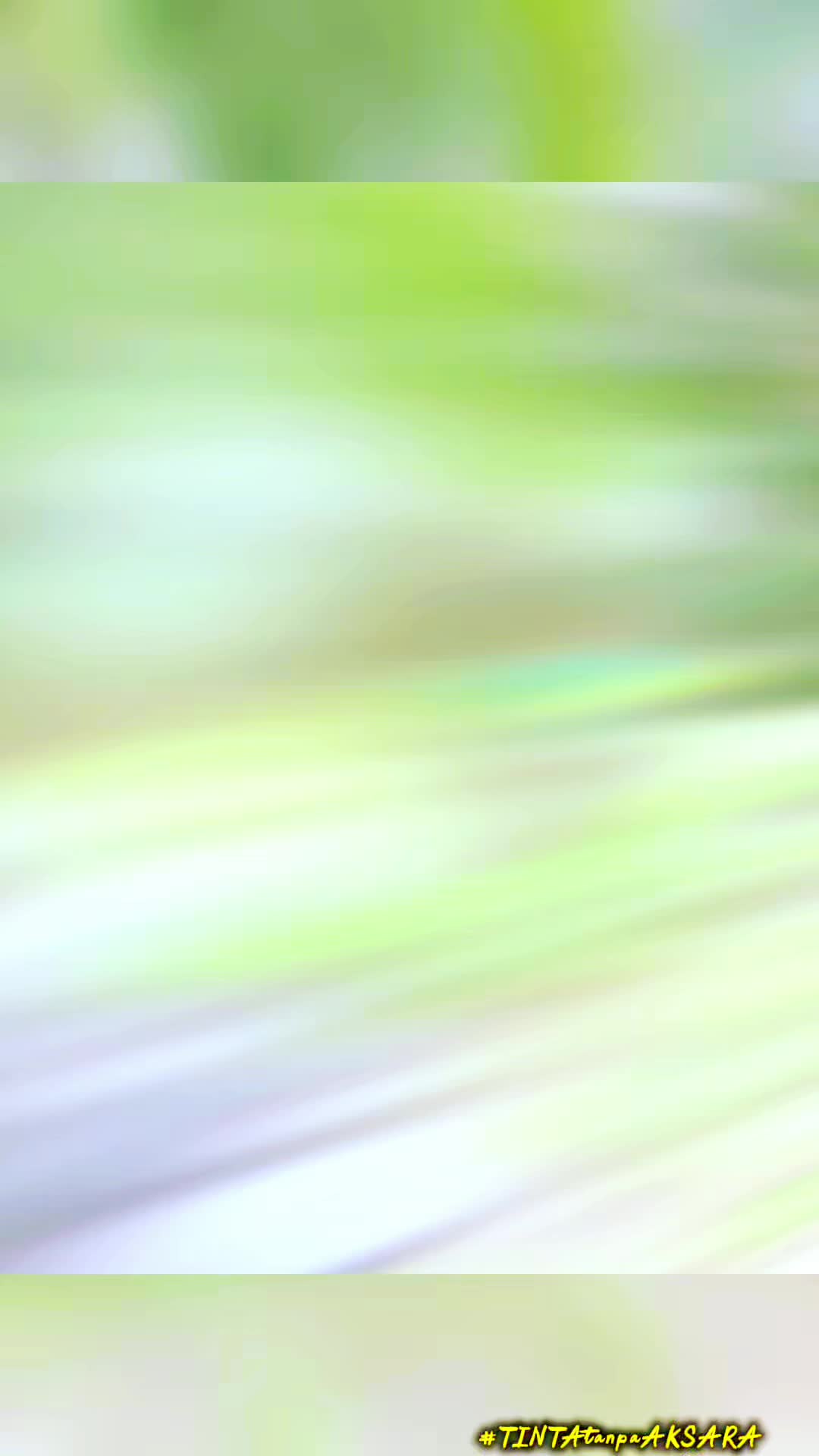 @aleen_CBR