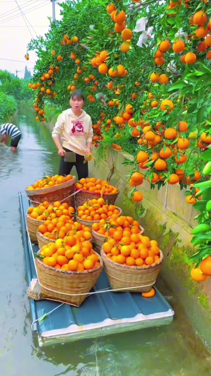 @Fruit happy