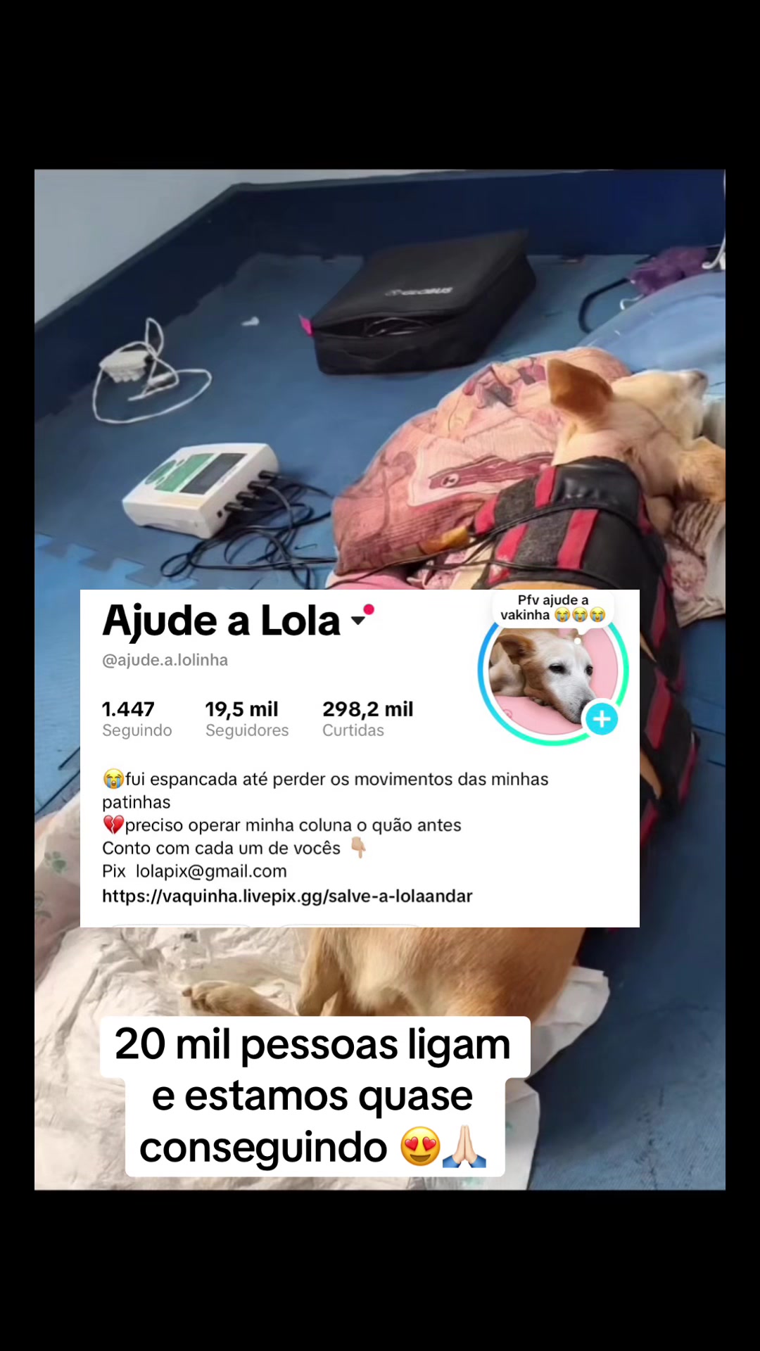 @Ajude a Lola