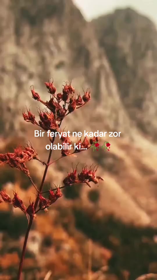 @YAŞANMIŞ HİSLER..