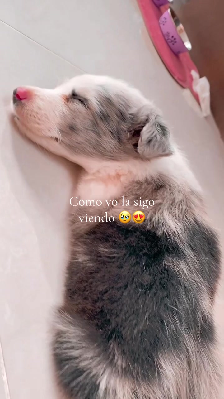@Sofía Ospina 💗