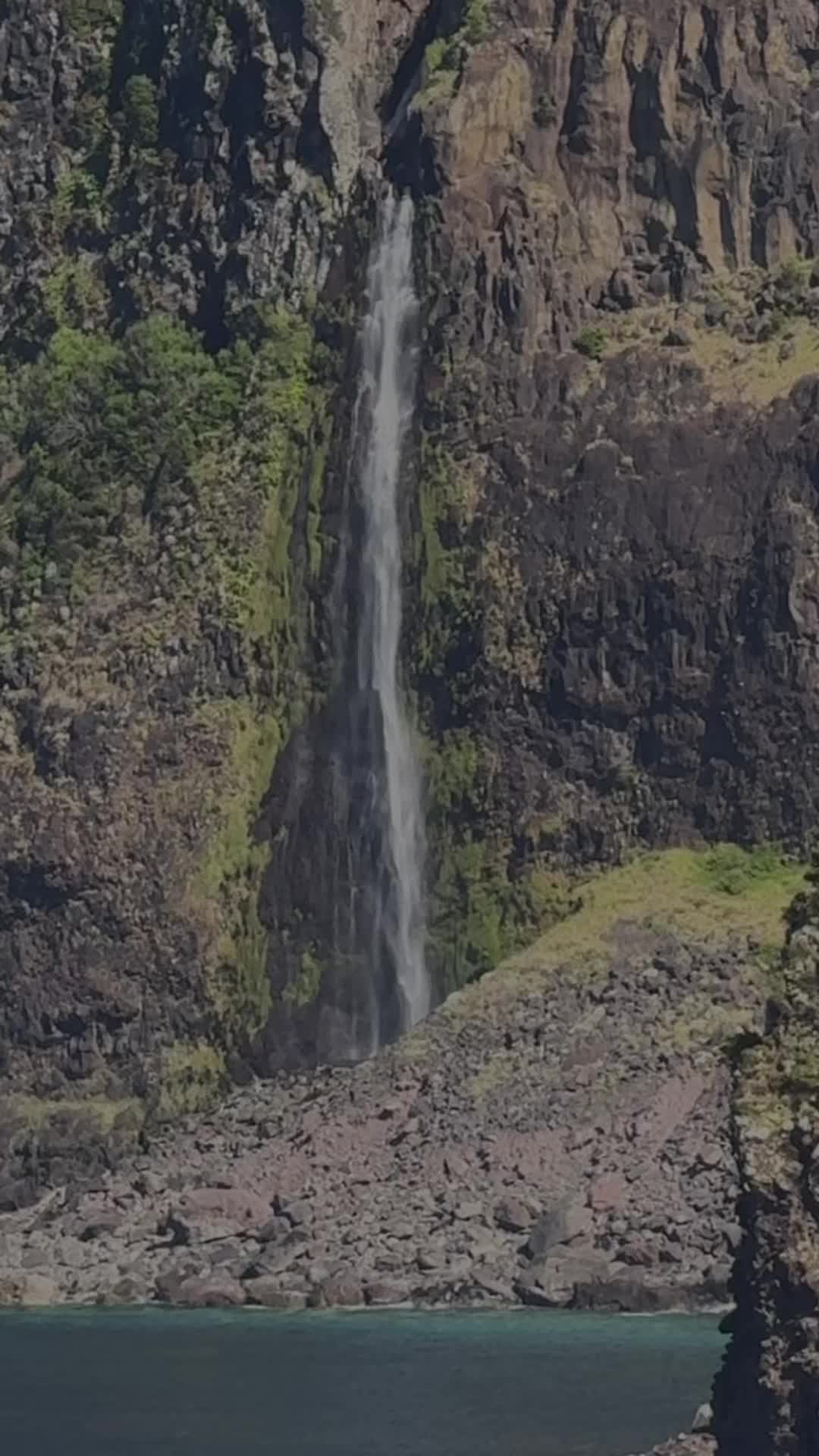 @ImpactAzul Madeira Island Tour