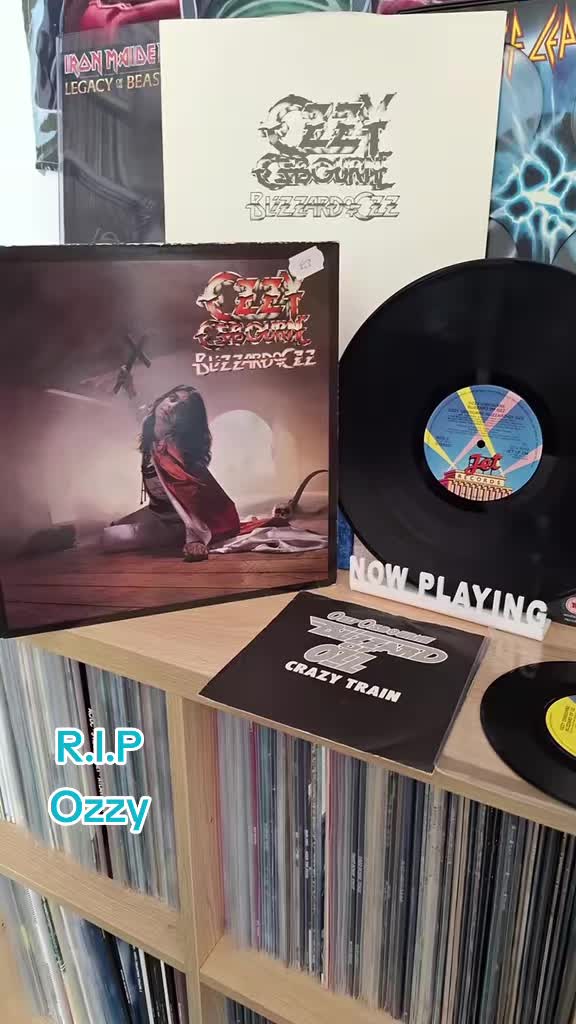 @VINYLIZER