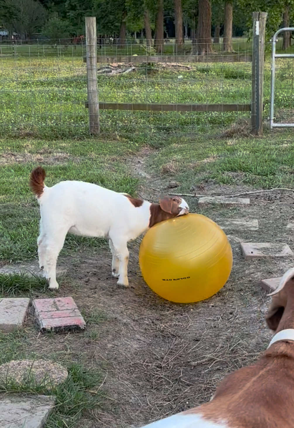 @Sarah ;)
