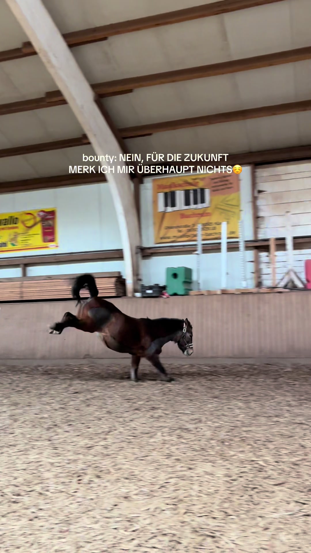 @Kinderreitenfulda
