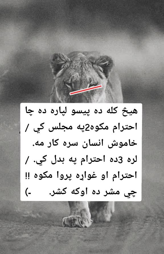 @(🥷🏿خــــوږيـاڼــي🥷🏿)🇦🇫🫀