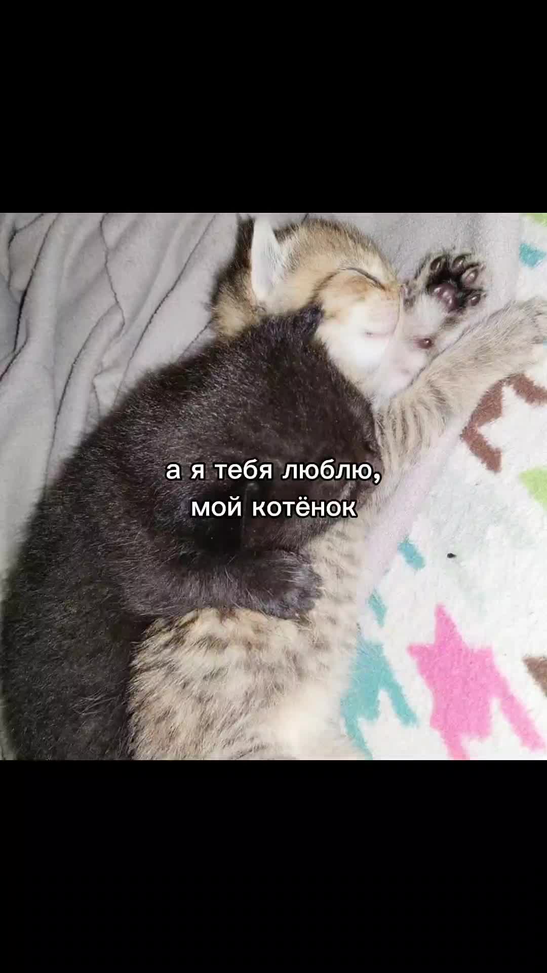 @dwee