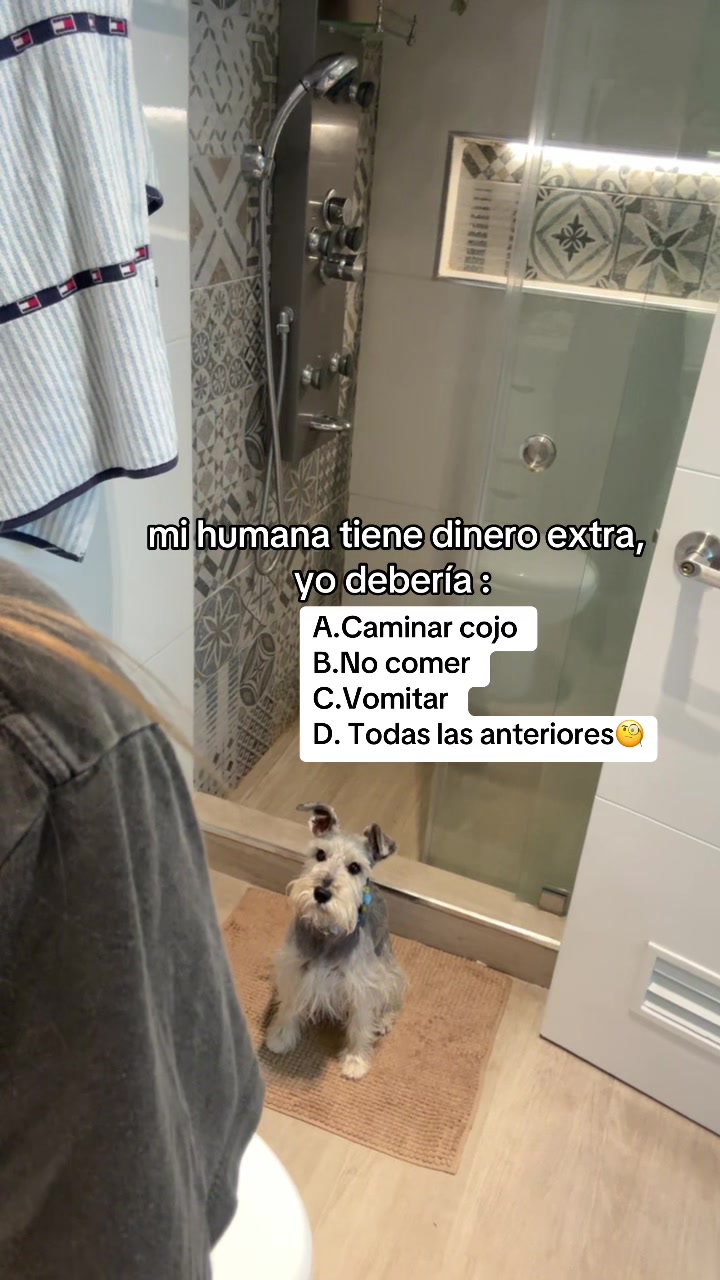@vidadlanky