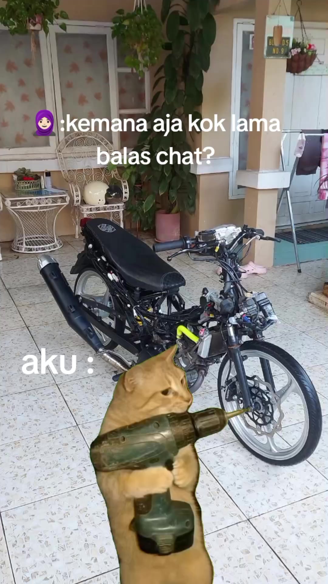 @mx sad