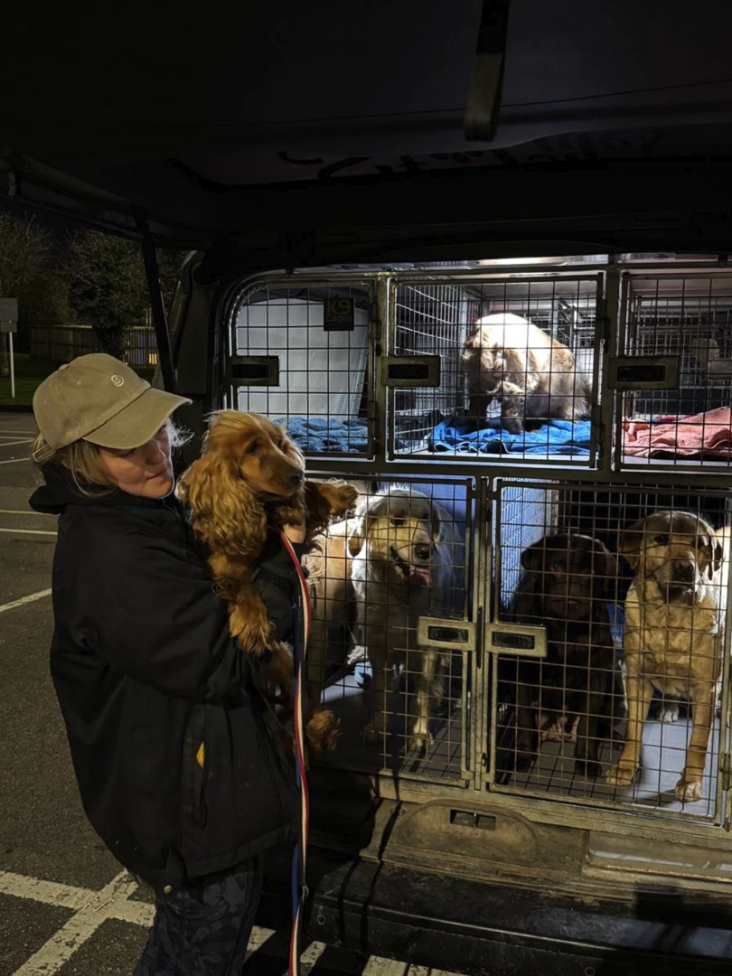 @St Giles Animal Welfare