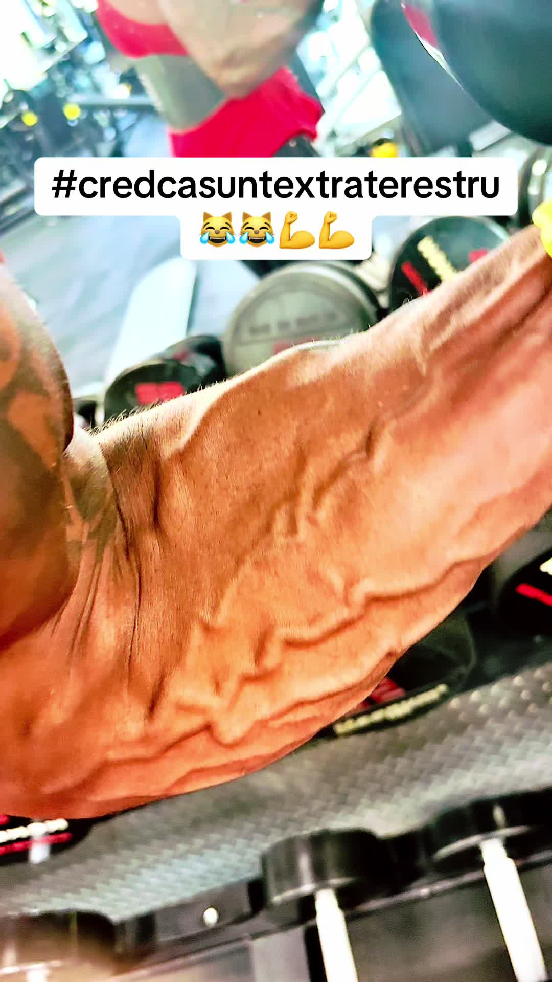 @danyheavylift