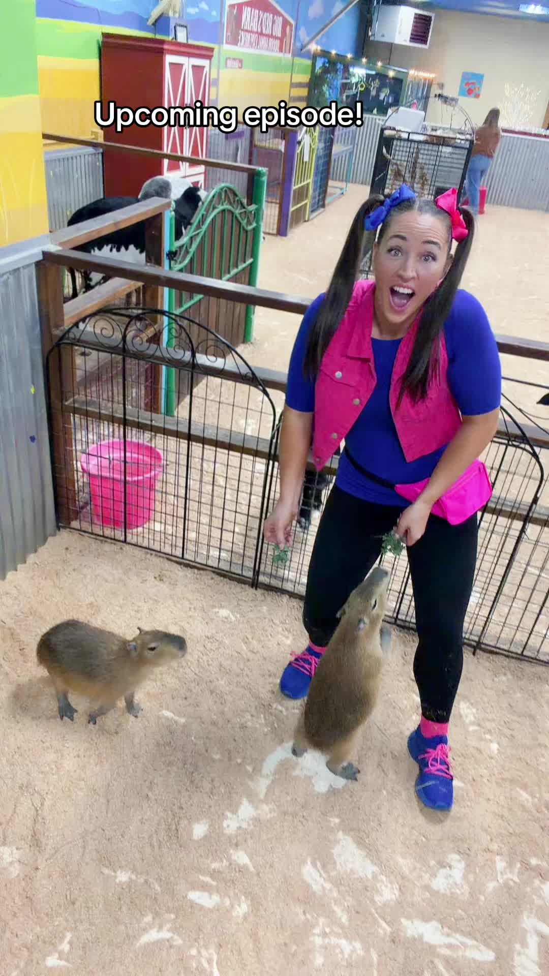 @mimieducation