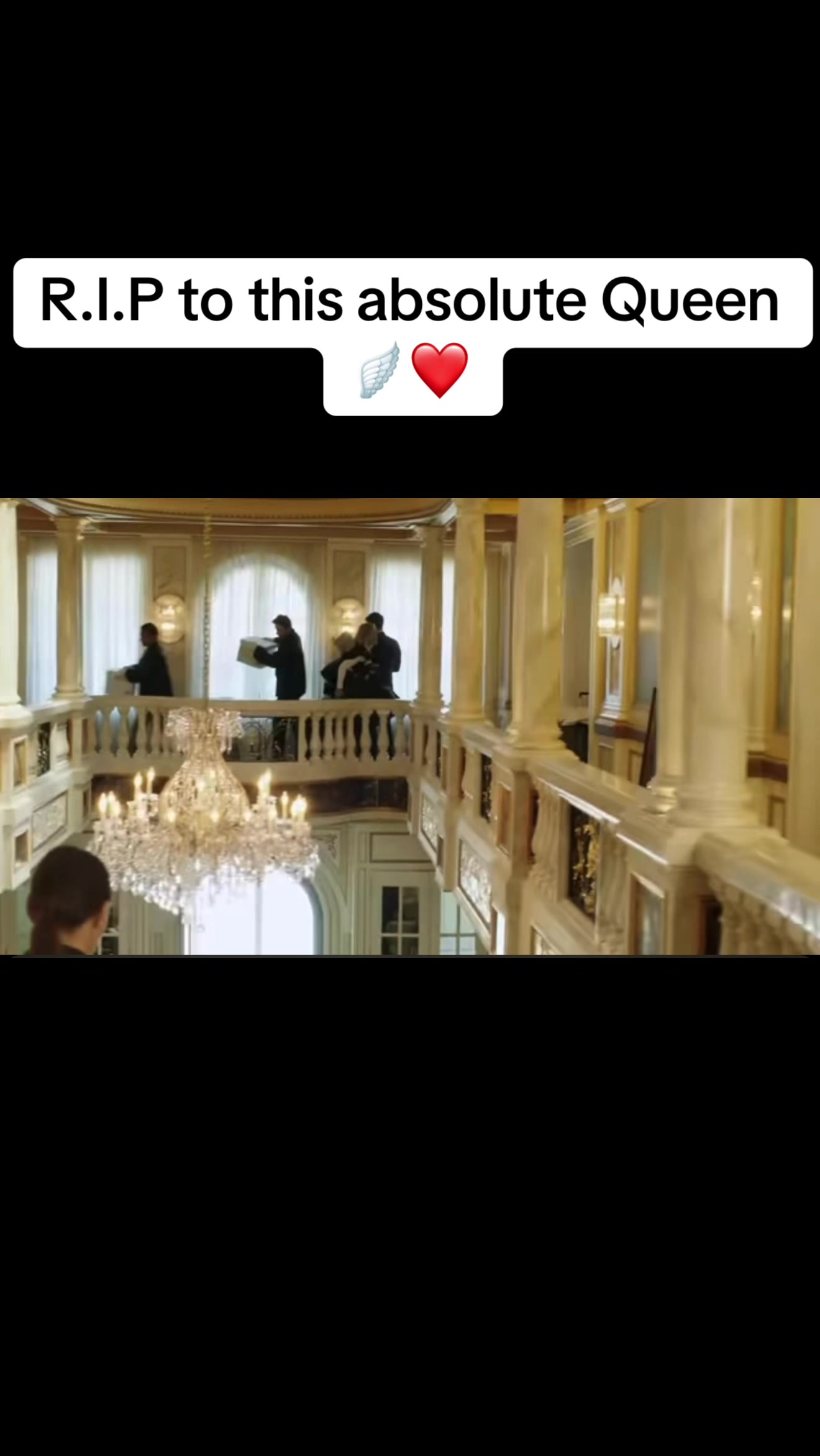 @Cat 🎀