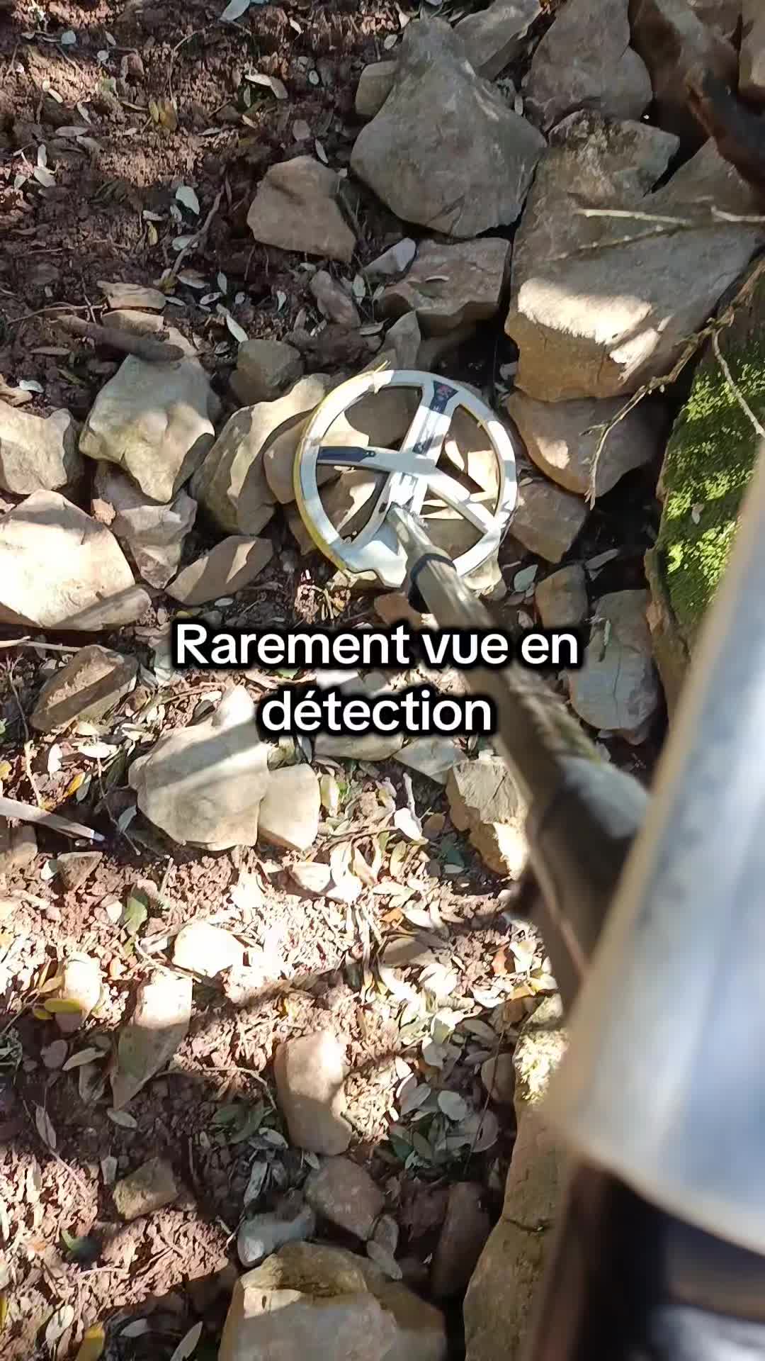 @DétecteurDeTrésor💥