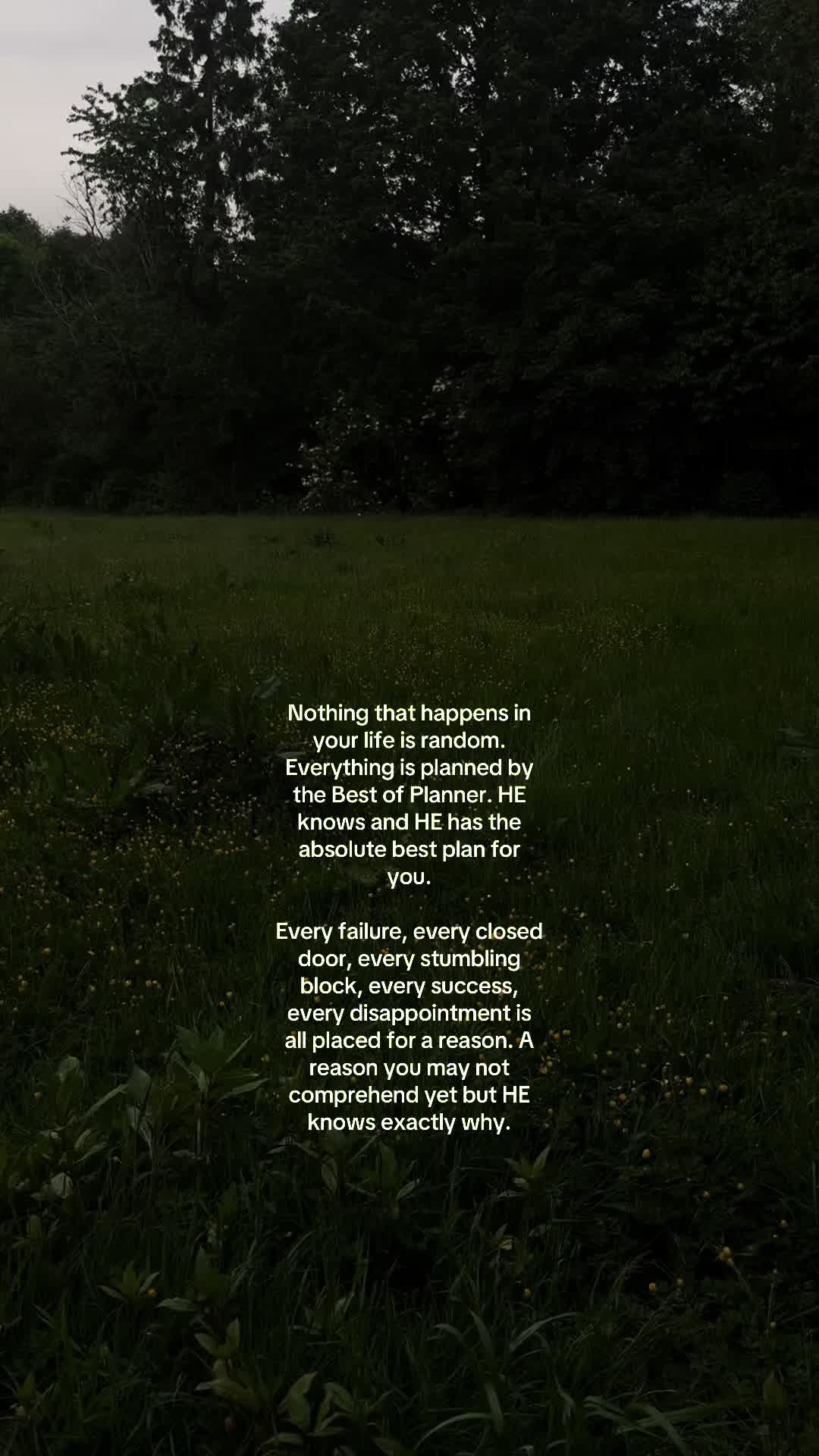 @No Doubt🕊️