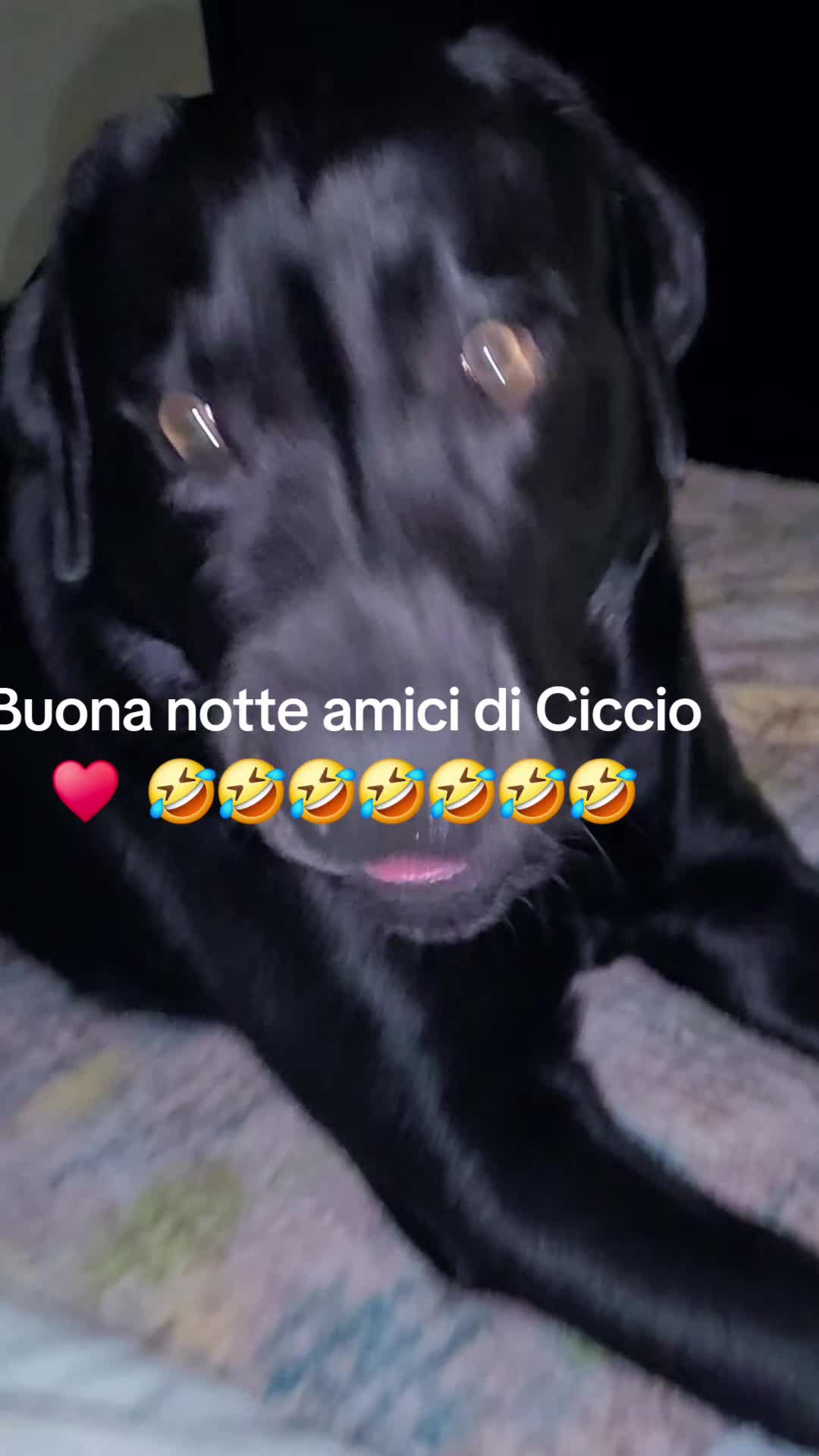 @Vale....🤗