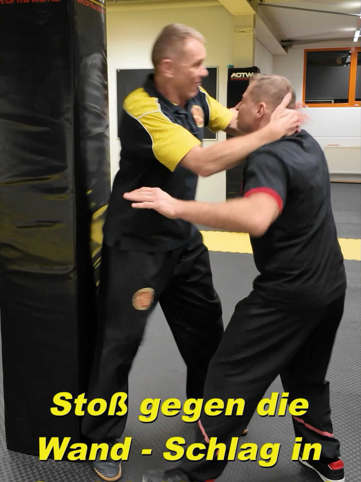 @Sifu Martin Hofmann
