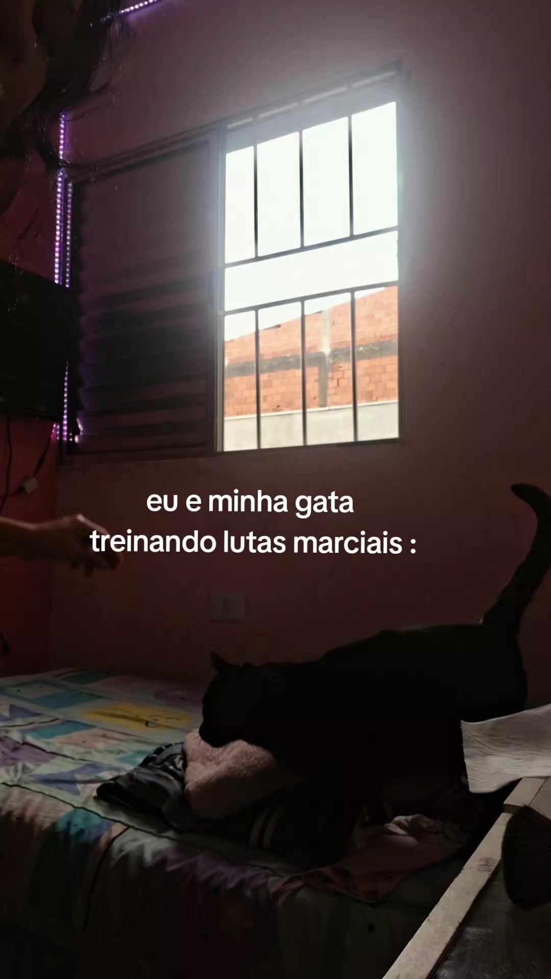@cereja_<3