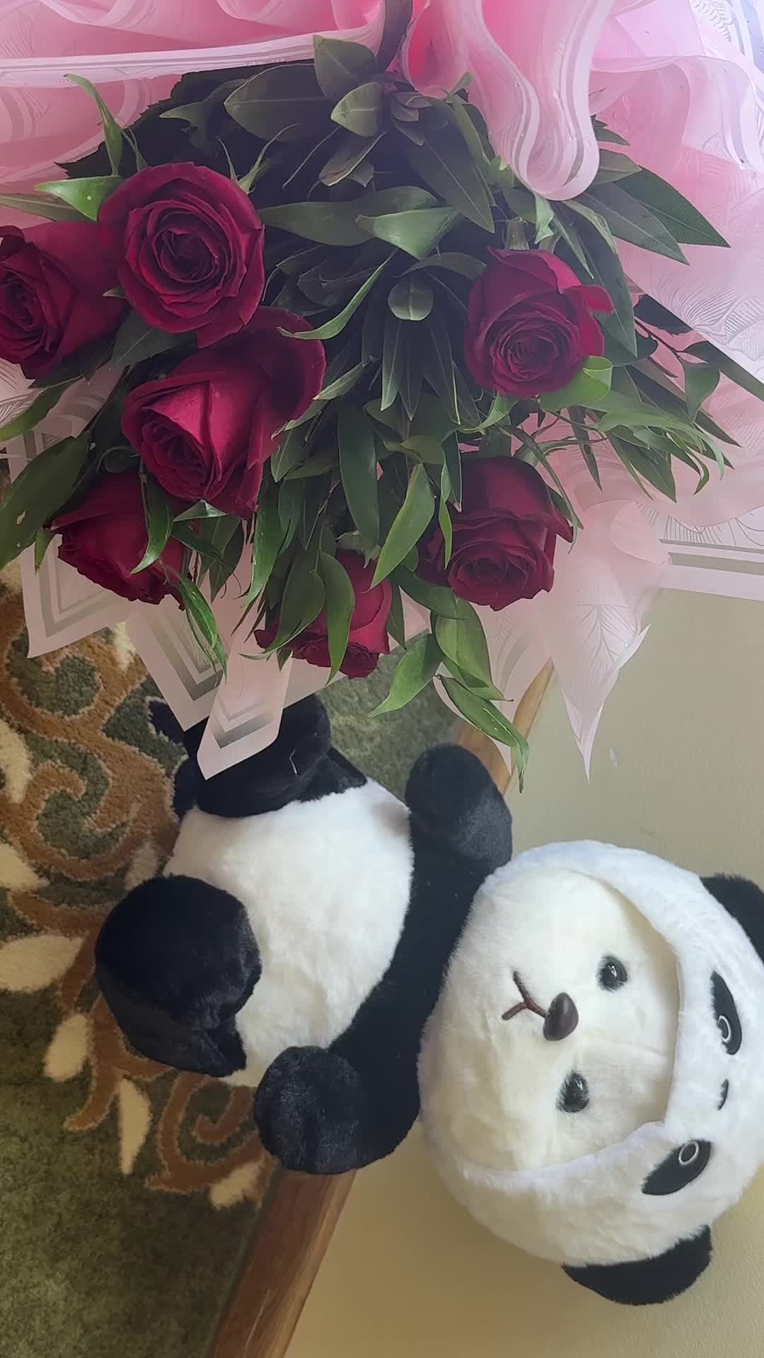@🧸🧸🧸