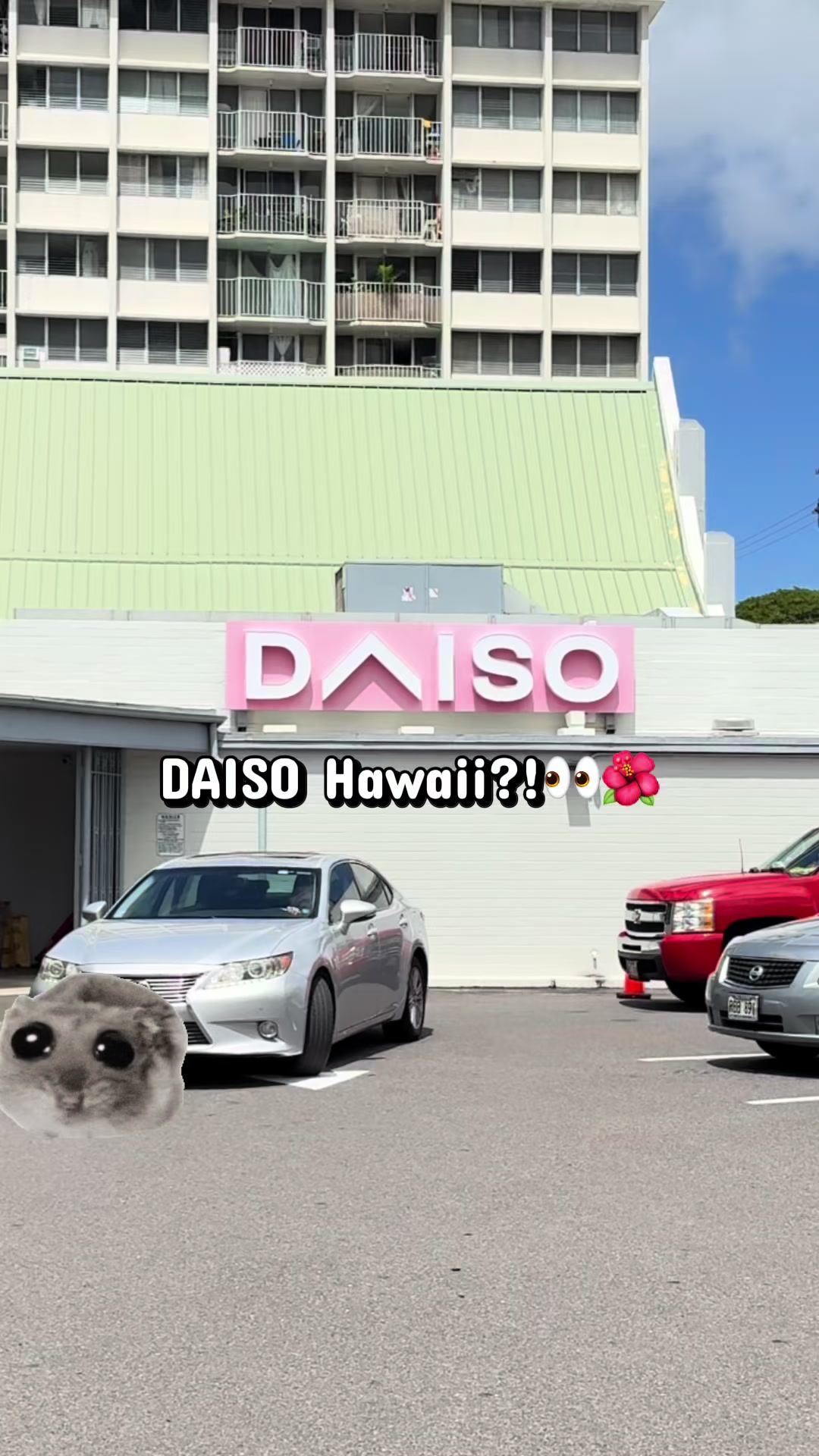 @Aloha Wendyðºð¶