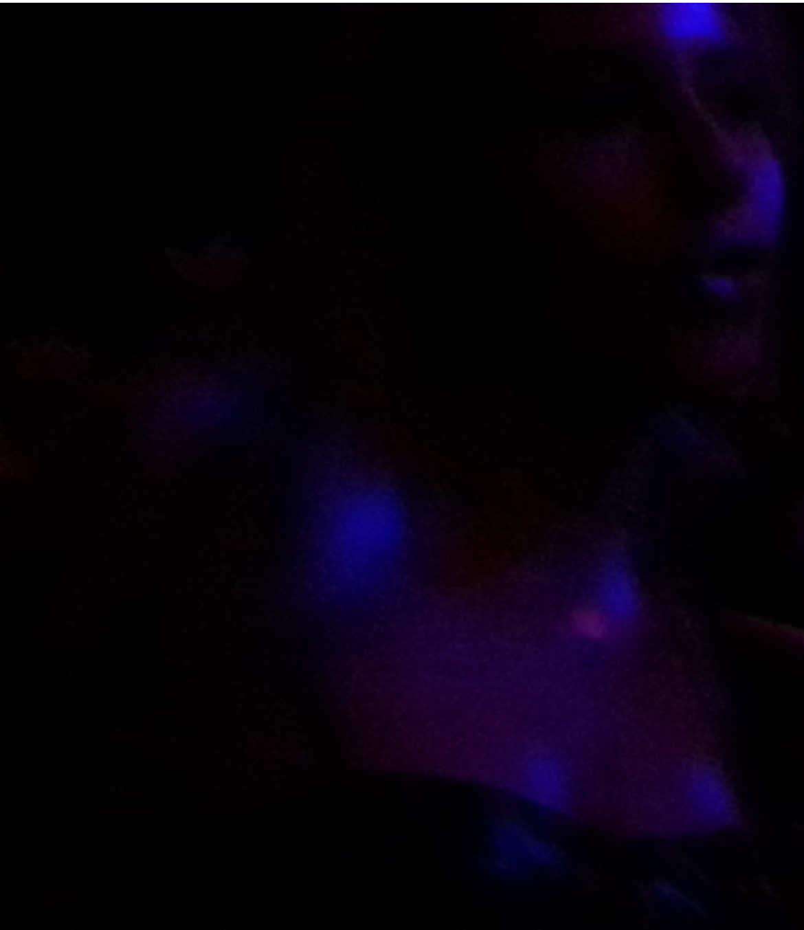 @Freakbob
